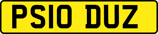 PS10DUZ