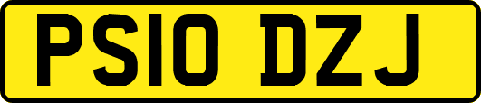 PS10DZJ