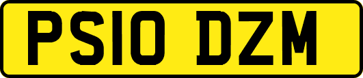 PS10DZM