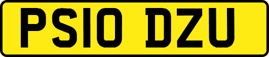 PS10DZU