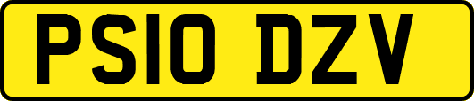 PS10DZV