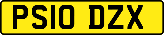 PS10DZX