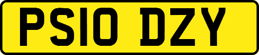 PS10DZY