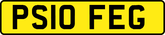 PS10FEG