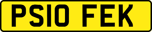 PS10FEK