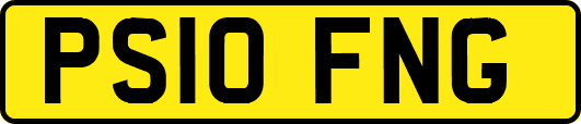 PS10FNG