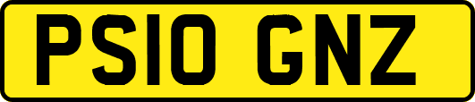 PS10GNZ