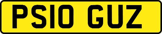 PS10GUZ