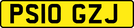 PS10GZJ