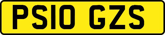 PS10GZS