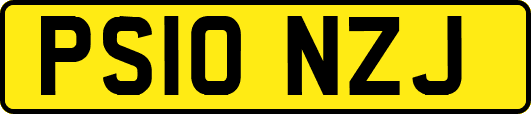 PS10NZJ