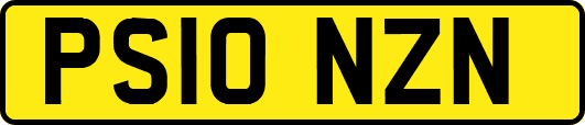 PS10NZN
