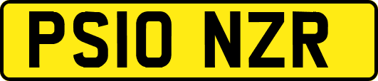 PS10NZR