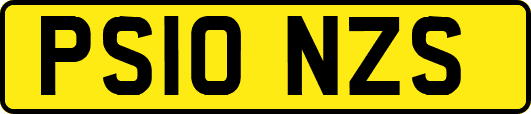 PS10NZS