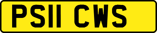 PS11CWS