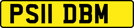 PS11DBM