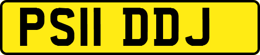 PS11DDJ