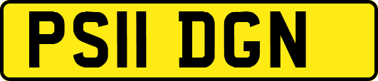 PS11DGN