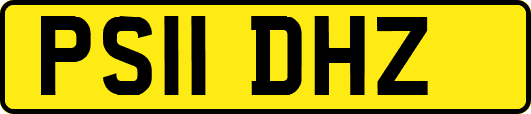 PS11DHZ