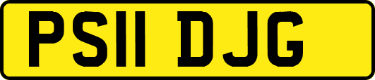 PS11DJG