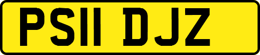 PS11DJZ