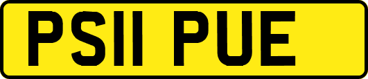 PS11PUE