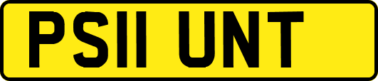 PS11UNT
