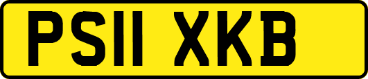 PS11XKB