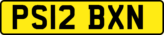 PS12BXN