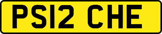 PS12CHE