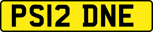 PS12DNE