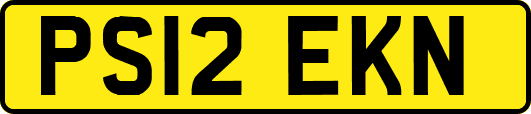 PS12EKN