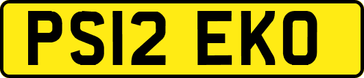 PS12EKO
