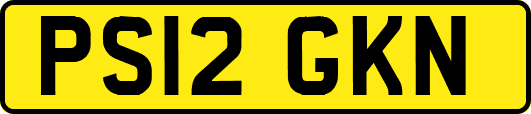 PS12GKN