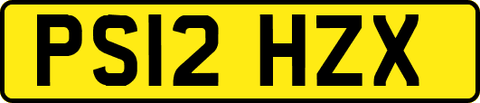 PS12HZX