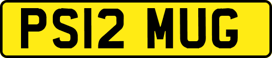 PS12MUG