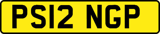 PS12NGP