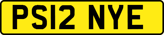 PS12NYE
