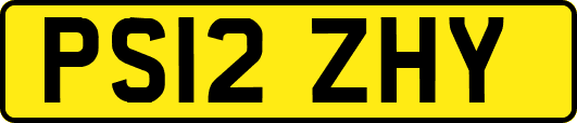 PS12ZHY