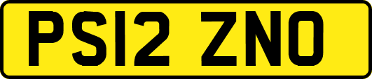 PS12ZNO