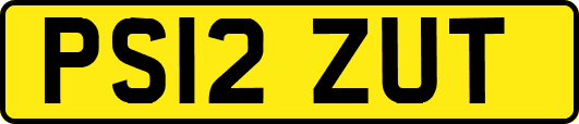 PS12ZUT
