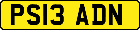 PS13ADN