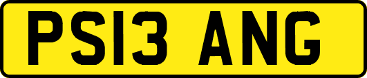 PS13ANG