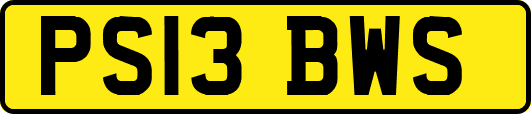 PS13BWS