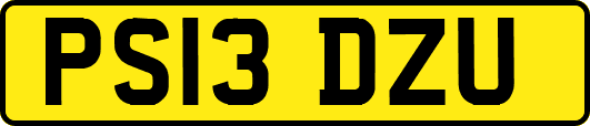 PS13DZU