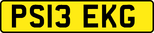 PS13EKG