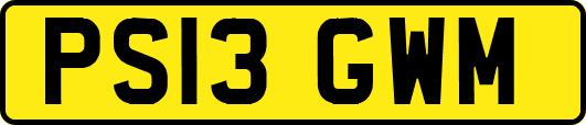 PS13GWM