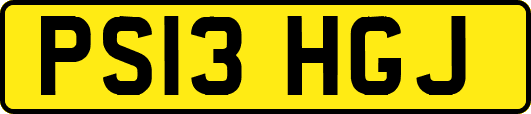 PS13HGJ