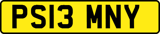 PS13MNY