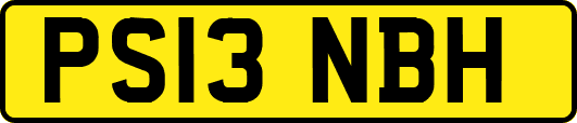 PS13NBH